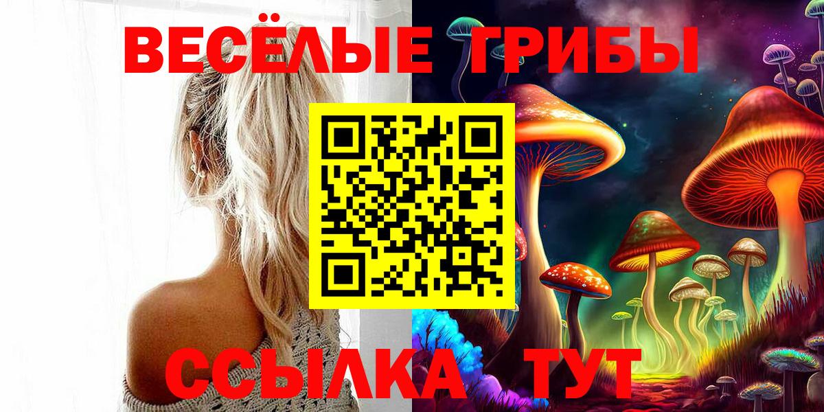 Псилоцибиновые грибы Magic Shrooms Прокопьевск